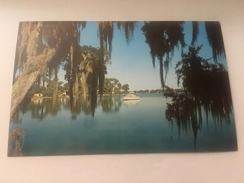Vintage postcard unposted - vintage,